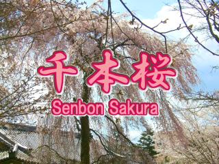 Uji - House - Vacation STAY 5978 - Uji - 0