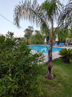Dimas V Apartments - Parga - 3