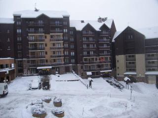 Studio lumineux, 4 couchages, balcon sud, pied de pistes, centre station, casier à ski - FR-1-330-145 - Risoul - 3