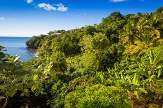 Casa del Vega a Little Peace of Heaven - Castries - 3