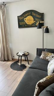 STUDIO DENT DU CAIMAN, CHAMONIX hyper CENTRE, PARKING, VUE MONT BLANC - Chamonix-Mont-Blanc - 5