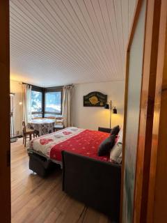 STUDIO DENT DU CAIMAN, CHAMONIX hyper CENTRE, PARKING, VUE MONT BLANC - Chamonix-Mont-Blanc - 9