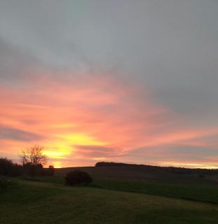 La BerryCurienne proche du Zoo de Beauval Saint-Aignan avec SDB, WC ET SPA PRIVATIF pour chaque chambre - 1