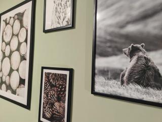 Pool - Sauna - 150m Skilift - Bikepark - Zentrum - Loft Lorenz - 3