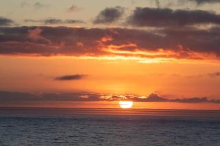 Serene Hide-Away with ocean views. - Cape Town - 2