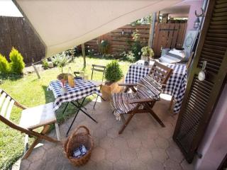 Flat in Alsace near Vosges Nature Park - Morschwiller - 3