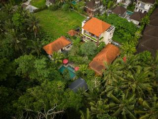 Villa Ubud Sunshine - Ubud - 9