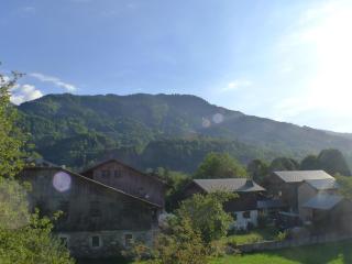 Studio lumineux avec balcon, parking, WiFi et animaux acceptés à Samoëns - FR-1-629-120 - 8
