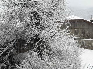 Studio lumineux avec balcon, parking, WiFi et animaux acceptés à Samoëns - FR-1-629-120 - Samoëns - 2