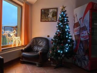 Vila Ianis Bran - Bran - 4