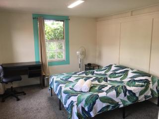Pahoa Village Hostel - Pahoa - 6