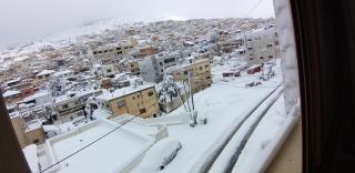 רוזמרין בחרמון - 1