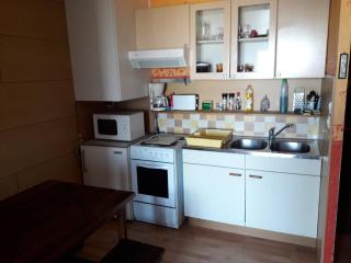 Studio cosy pour 4 pers, La Pierre St Martin, proche pistes, parkings gratuits, skis au RDC - FR-1-602-71 - Arette - 1