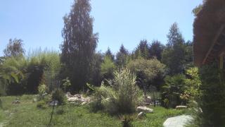 Glamping for couples in tent, Camp Eucalyptus Slovenia - Kapele - 2