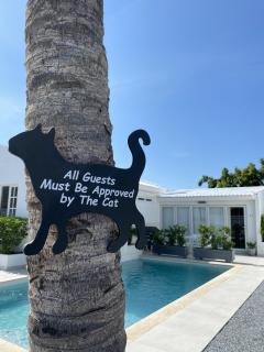 Movida Inn Aruba - Palm-Eagle Beach - 1
