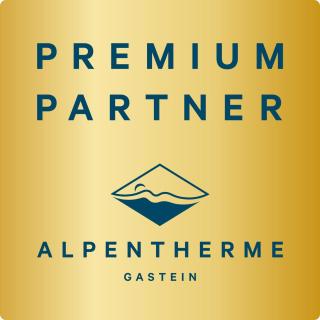 Apartment NH96 inklusive kostenfreiem Eintritt in die Alpentherme - Bad Hofgastein - 9