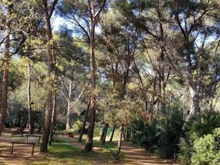 T2 climatisé avec coin nuit, parking, piscine et tennis - 200m plages et commerces - FR-1-316-154 - Six-Fours-les-Plages - 7