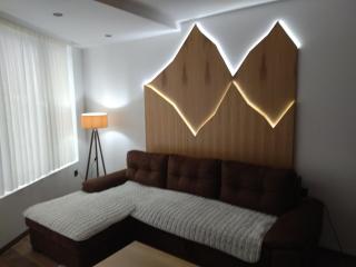Garnet Star Apartments, Kopaonik, apartman broj 4 - Kopaonik - 1