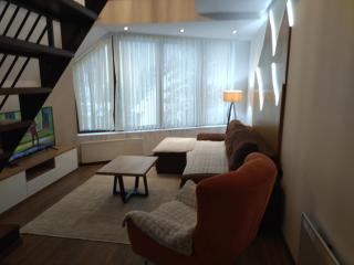 Garnet Star Apartments, Kopaonik, apartman broj 4 - Kopaonik - 2