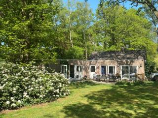 lovely house located in a private natural area - 5