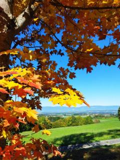 L'essentiel - Montilliez - 9