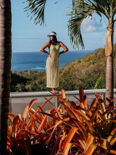 Casa Loba Suite 2 at 413 with private pool - Rincon - 9