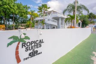 Casa Loba Suite 2 at 413 with private pool - Rincon - 5