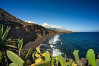 Dragos del Mar , Espacio Natural - La Orotava - 7