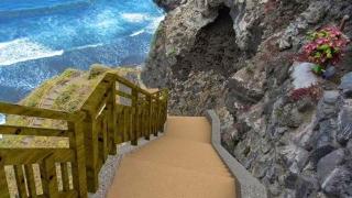 Dragos del Mar , Espacio Natural - La Orotava - 8