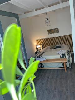 Suite con piscina y parque - Mendoza - 4