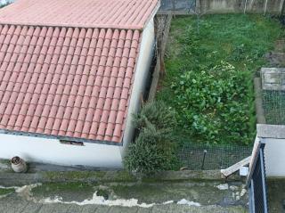 Affittacamere Piagge - Orvieto - 8