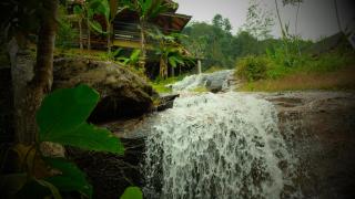 Forest falls Garden Maerim Chiangmai ตาดปลาแคมป์ออร์แกนิคฟาร์มสเตย์เชียงใหม่ - Ban Lua Ka - 4