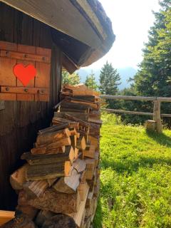 Velika planina - Chalet Stane - Alps - Stahovica - 2