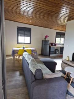 Charment Appartement avec vue sur mer - Petite Île - 7