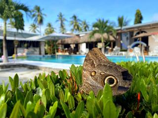 Show Pony Beach Resort and Suites - Las Lajas - 7
