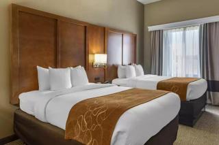 Comfort Suites Batesville - 9