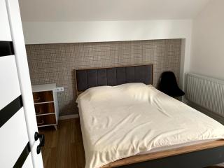 Skiing Bakuriani - 1