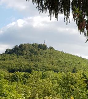 Ferienhaus "Am Staufenberg" - Blankenburg - 5