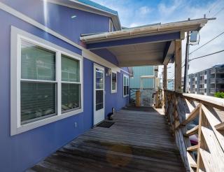 Purple Pelican - Carolina Beach - 1
