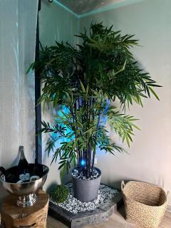 NEW PROCHE NAUSICAA ! « Mille et Un Rêve » - 7