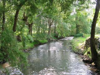 Moulin paisible en Berry avec étang privé, proche du Château de Valençay et Zoo de Beauval - FR-1-591-18 - Chabris - 9