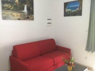 Les Lucioles 1 Beau T2 en forêt tropicale avec accès piscine - 9