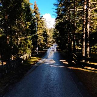 Bajin chalets - Dobroselica - 9
