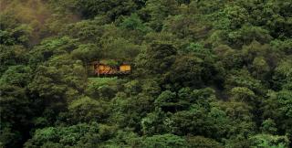 Vythiri Resort - Vythiri - 0
