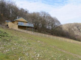 Red Kite Lodge - Uk32610 - Old Radnor - 9