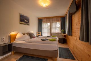 Landhaus Hinteregg Apartment - Schladming - 6