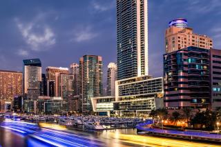 Vida Dubai Marina & Yacht Club - Dubai - 8