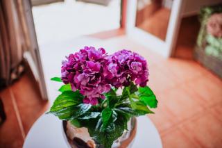 Villa Amore Accommodation - Paul do Mar - 7