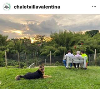 Villa Valentina - La Tebaida - 2