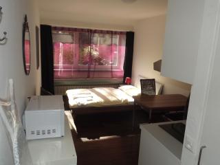 Swiss Star Basel Schweizergasse - Self Check-In - Basel - 1